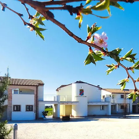 Contea Dei Ciliegi * ペダーゾ